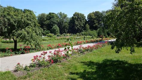Ботанический сад калининград