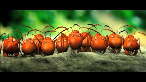 Букашки приключение в долине муравьев мультфильм 2013