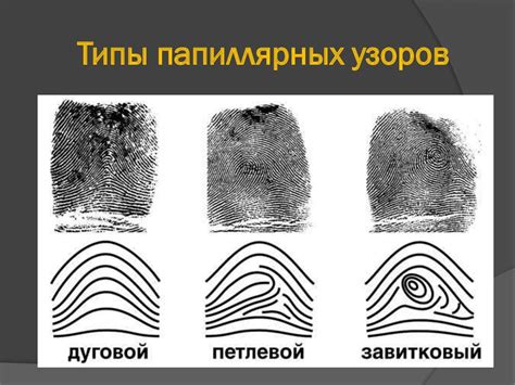Виды отпечатков пальцев