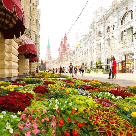 Выставка цветов в москве 2022 на красной площади