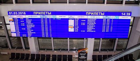 Домодедово онлайн табло прилета на сегодня международные рейсы из турции