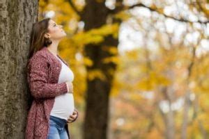 Единовременное пособие по беременности