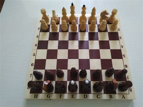 Как расставить шахматы на доске правильно