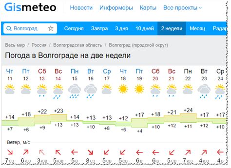 Погода в новосибирске гисметео 14 дней