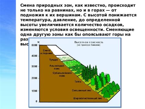 Сделайте вывод о закономерности распространения природных зон на равнинах и в горах