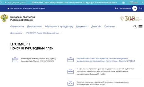 Фгис единый реестр проверок на 2022 год официальный сайт
