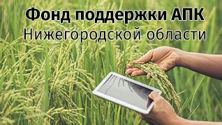 Фонд поддержки апк нижегородской области официальный сайт