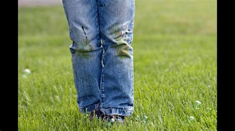 Чем можно отстирать траву на джинсах