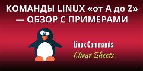 Linux команды