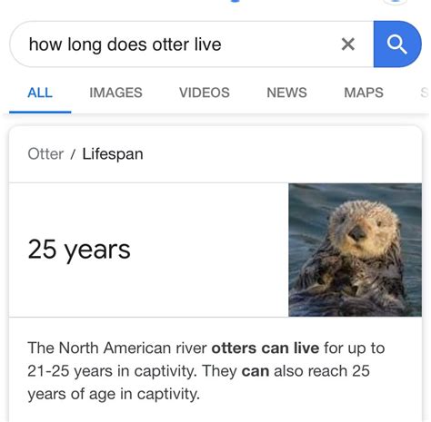 Otter перевод