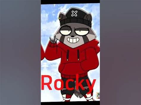 Rocky raccoon
