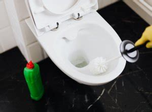 Как избавиться от запаха мочи в туалете